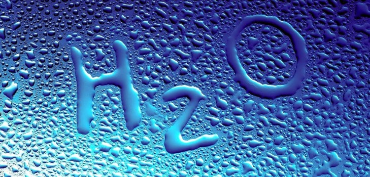 Mit lehet tenni a vízből: mi lizuna-t csinálunk