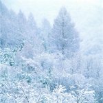 Hogyan fotózni télen? Hogyan fotózni télen?