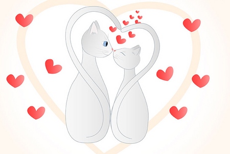 Hogyan kell felhívni valentines