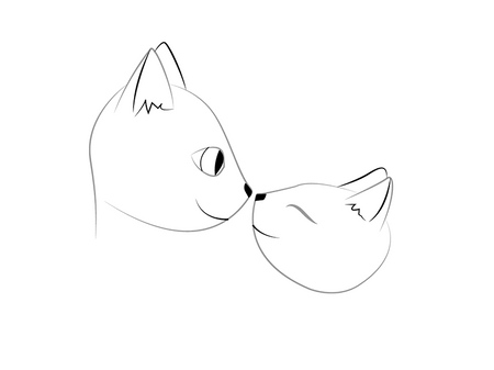 Hogyan kell felhívni valentines