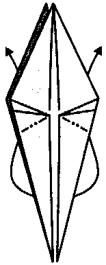 Classic origami daru