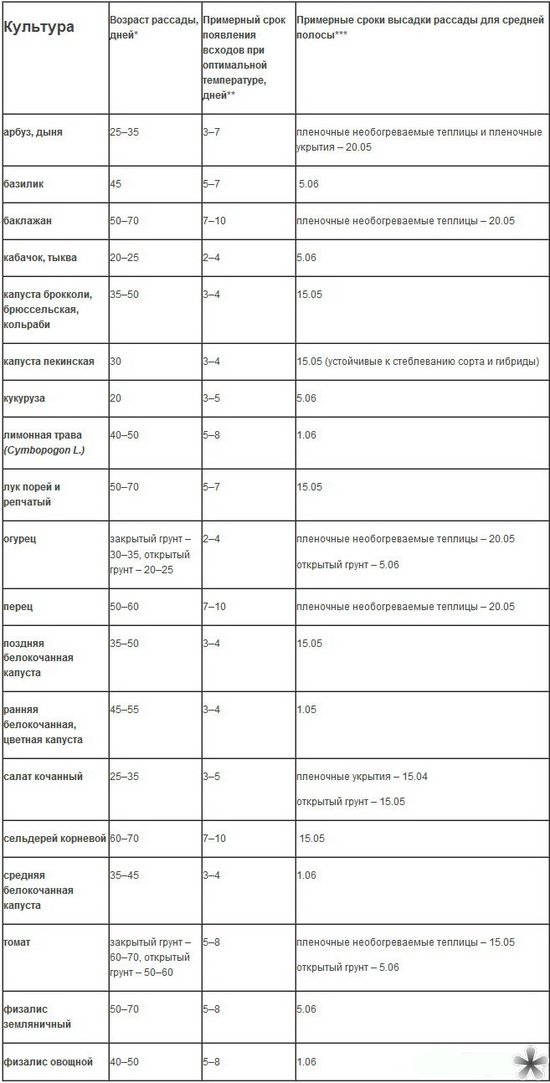 Mikor kell a palántákat a nyitott talajon?