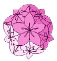Kusudama papír