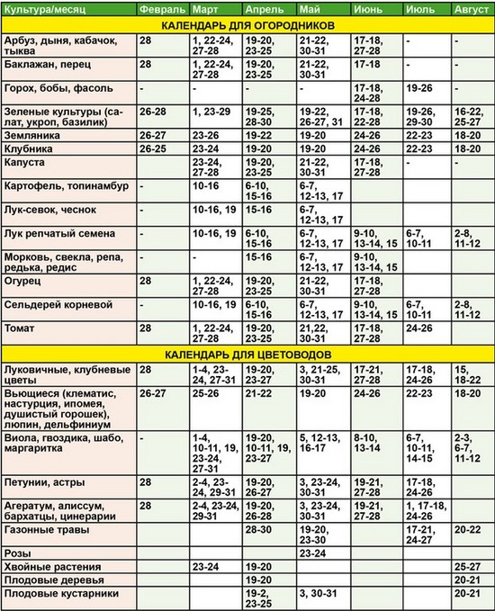 A kertész kertész holdnaptára 2015 augusztusában