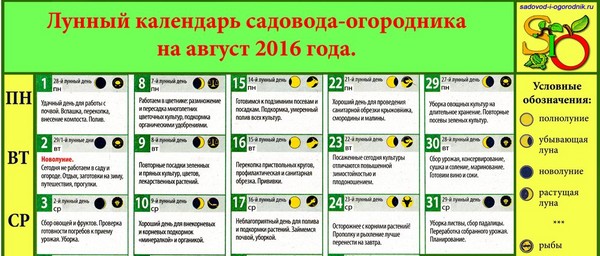 Holdnaptár mezőgazdasági termelő 2016. augusztusában a moszkvai régió, Oroszország középső övezete, Urál, Szibéria, Északnyugat, Fehéroroszország és Ukrajna Holdnaptár mezőgazdasági termelő 2016. augusztusában a moszkvai régió, Oroszország középső övezete, Urál, Szibéria, Északnyugat, Fehéroroszország és Ukrajna