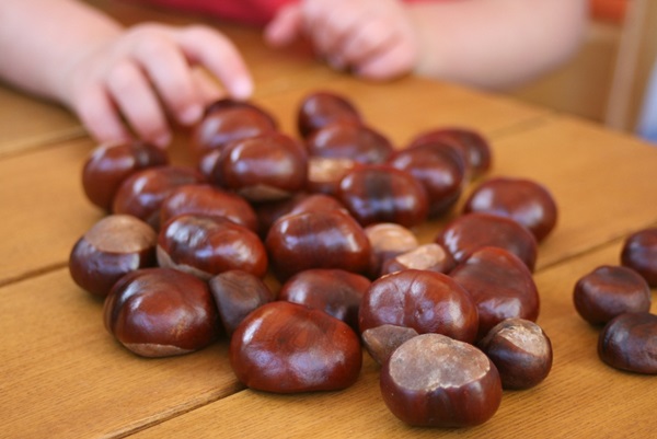 Gesztenye mesterségek az őszi témában