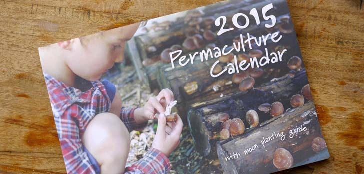 2015-es vetési naptár: január és december között dolgozunk