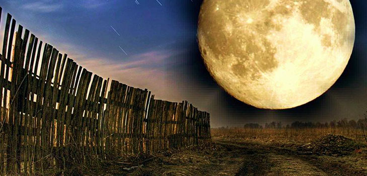 Lunar Seed Naptár 2017 áprilisáig