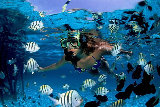 snorkeling snorkeling