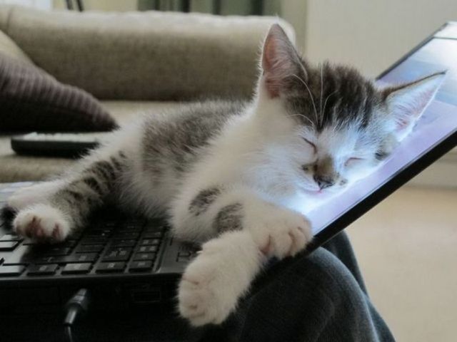 Az alvó üzemmód kikapcsolása a Windows 7 rendszerben Az alvó üzemmód kikapcsolása a Windows 7 rendszerben