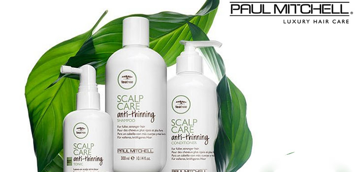 A haj erejét a gyökerektől a tippekig: Paul Mitchell Tea Tree Scalp Care sorozat