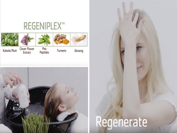 A haj erejét a gyökerektől a tippekig: Paul Mitchell Tea Tree Scalp Care sorozat