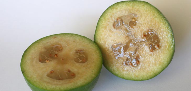Feijoa - a feijoa hasznos tulajdonságai, előnyei és ártalmai