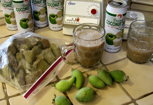 Feijoa - a feijoa hasznos tulajdonságai, előnyei és ártalmai