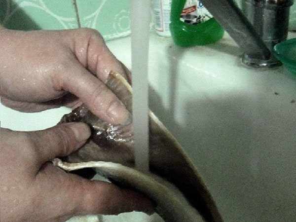 Hogyan kell megfelelően és gyorsan vágni a heringet a csontokból