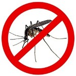 Hogyan lehet megszabadulni a szúnyogoktól? Hogyan lehet megszabadulni a szúnyogoktól?