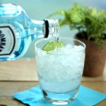 Hogyan inni a gin