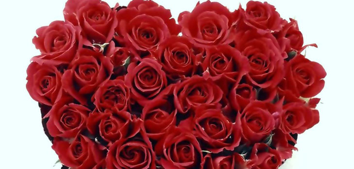 Hogyan gratulálni egy lánynak a Valentin-napig: a legjobb módja