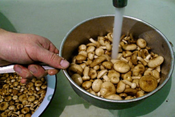 Konzervált gomba télen