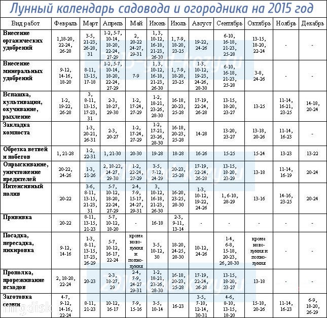 A házi növények átültetésének holdnaptárja 2015