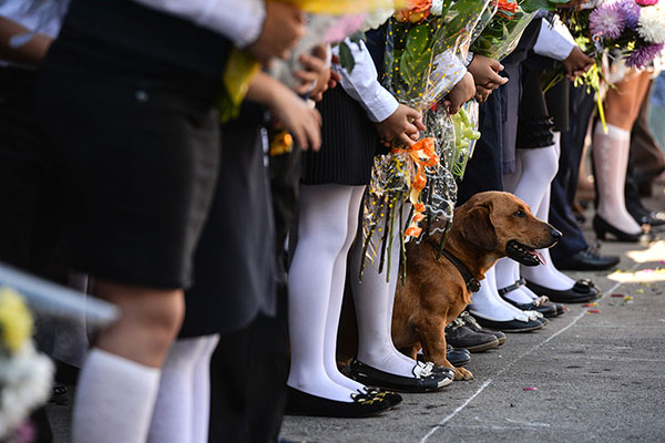 Búcsú a diplomások, a szülők, a tanárok első osztályozóira szeptember 1-jén A tudás napja - Gyönyörű szóbeszédek egy első osztályozóra versben és prózában