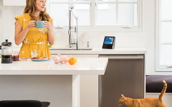 Intelligens otthoni akusztika: Amazon Echo Show rendszer