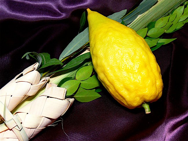 Sukkot: Shalashi ünnepe