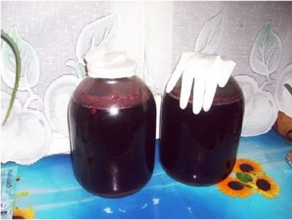 Házi cseresznyebor, egyszerű recept vodkával, élesztő nélkül. Hogyan készítsünk cseresznyebort otthon kesztyűvel?