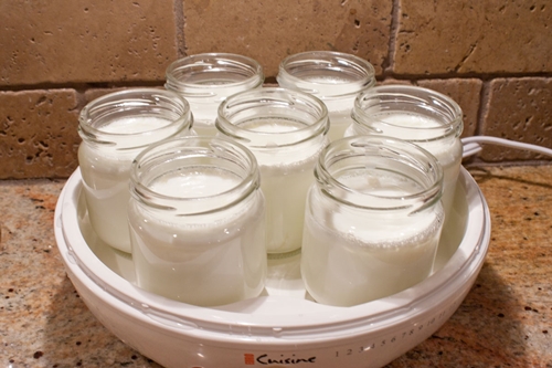 házi joghurt a joghurtnitsa-ban