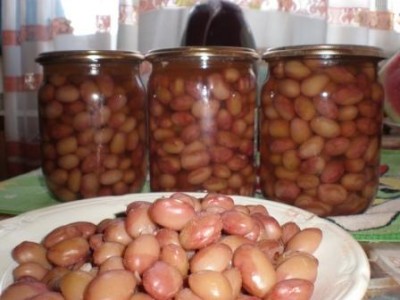 Bab a télen