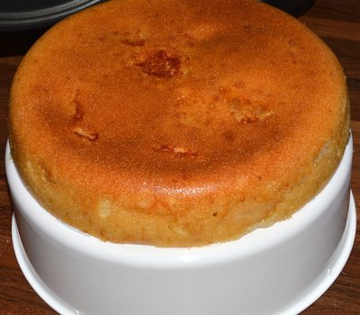 Photorecept alma torta a multivarkban