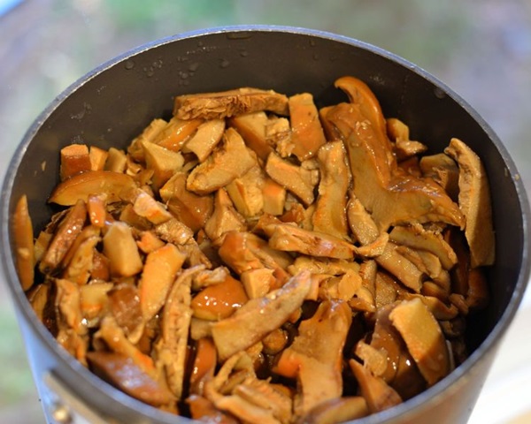 Hogyan gomba gombát