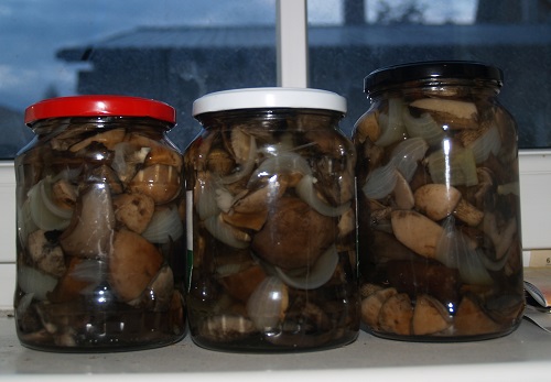 Télen marinált recept