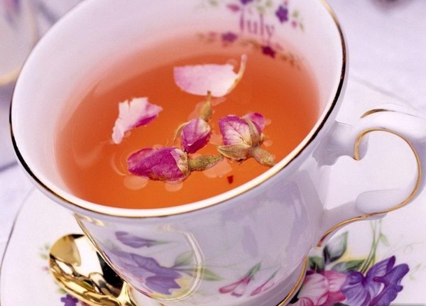 Hogyan gyűjtsük össze, szárítsuk meg és készítsük Ivan tea otthon Hogyan gyűjtsük össze, szárítsuk meg és készítsük Ivan tea otthon