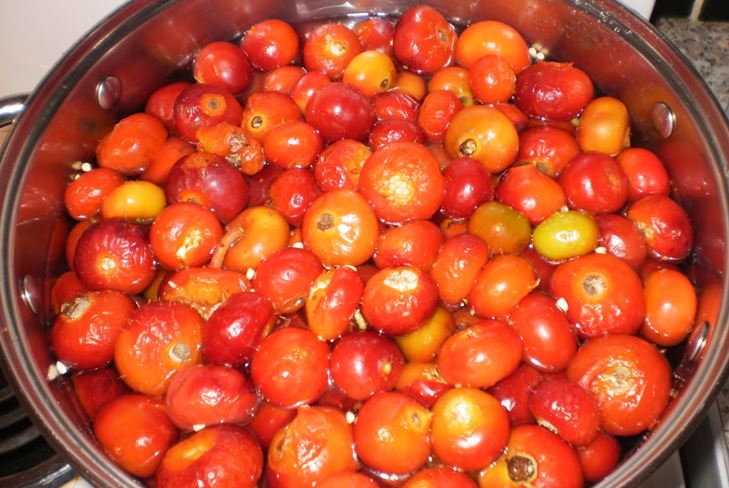 Hogyan készítsünk el egy desszertet egy dogrose-ról a télen: a recept ötperces snack-re