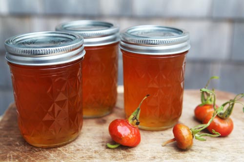 Hogyan készítsünk el egy desszertet egy dogrose-ról a télen: a recept ötperces snack-re