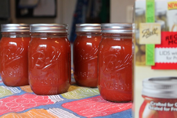 Ketchup saját kézből paradicsomból: lépésről-lépésre receptek a betakarításhoz a télen