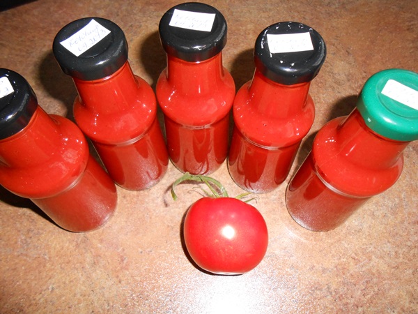 Ketchup saját kézből paradicsomból: lépésről-lépésre receptek a betakarításhoz a télen