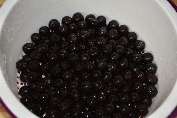 Komárom az aratóval ashberry-ből