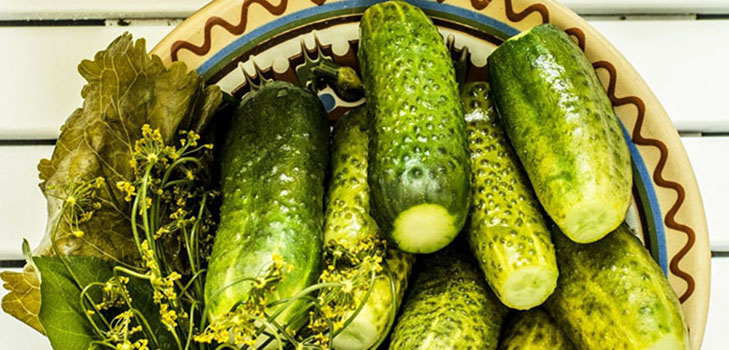 Könnyedén sózott ropogós uborka - recept