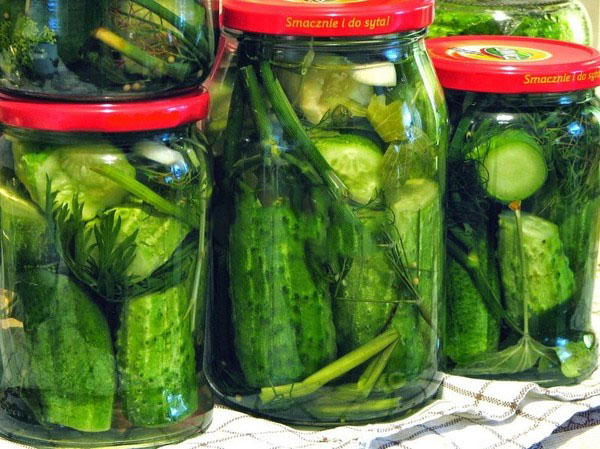 Uborka hidegen, nylon és fém alatt. Szedjük az uborka hideg módja a télen: mustárral, vodkával, ecettel szabad Uborka hidegen, nylon és fém alatt. Szedjük az uborka hideg módja a télen: mustárral, vodkával, ecettel szabad