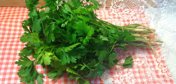 A recept a friss petrezselyem a téli