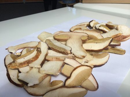 A recept a leves szárított gomba, annak hasznos tulajdonságait