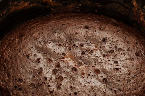 Csokoládé cupcake multivarquet - gyors recept fotóval