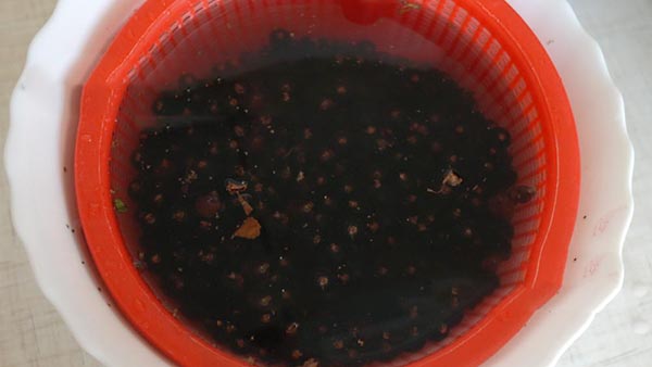 Rizs cukorral télen főzés nélkül, Pyatiminutka, fagyasztva. Currant recept, télen cukorral (hűtőszekrény nélkül)
