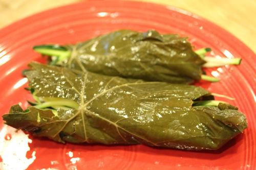 A szőlőlevél betakarítására szolgáló recept a dolma számára Hogyan válogass a szőlőlevél a dolmára