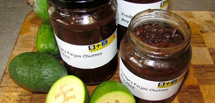 A feijoa-tól a télig, a legjobb receptek egy fotóval