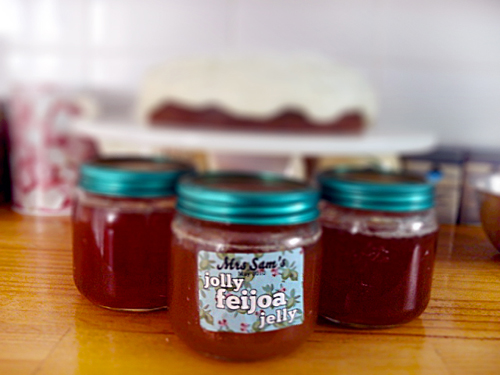 Jaj a feijoa télre, recept egy fotóval