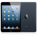 Apple iPad mini