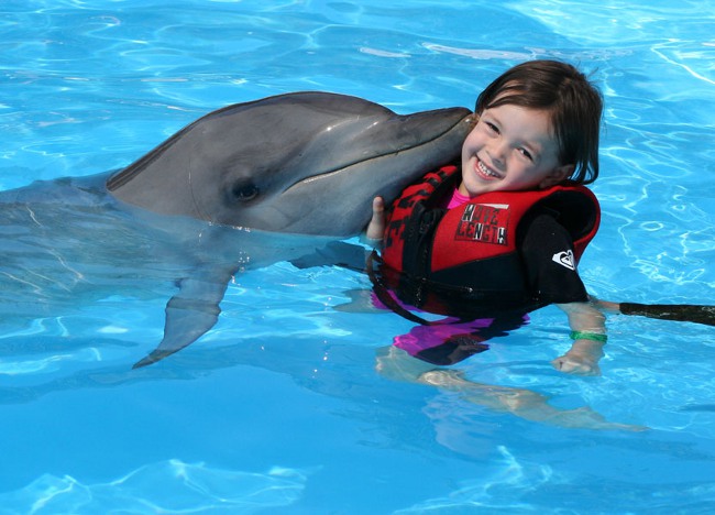 Dolphin terápia: fürdés delfinnel
